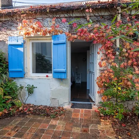 Les Jardins De Terrefort Bed & Breakfast Saumur
