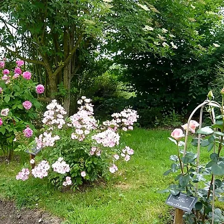 Les Jardins De Terrefort Saumur