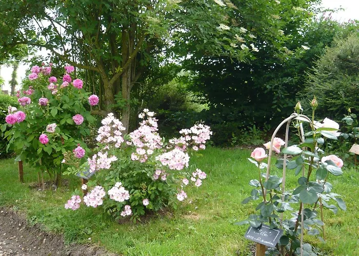 Les Jardins De Terrefort